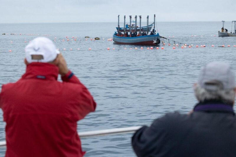 barbate-boat-tour-to-the-almadraba-of-conil-tuna-fishing