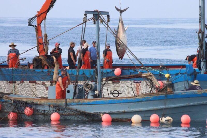 barbate-boat-tour-to-the-almadraba-of-conil-tuna-fishing