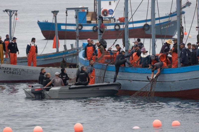 barbate-boat-tour-to-the-almadraba-of-conil-tuna-fishing
