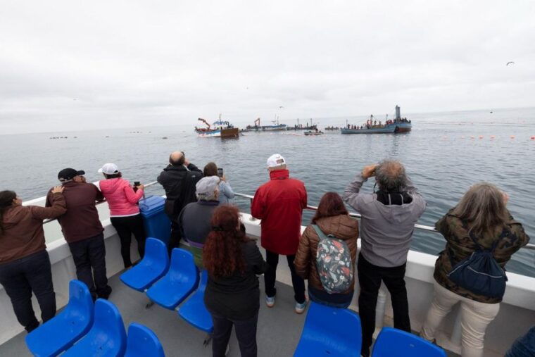 barbate-boat-tour-to-the-almadraba-of-conil-tuna-fishing