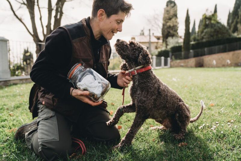 barberino-tavarnelle-truffle-hunt-tour-with-lunch-or-dinner