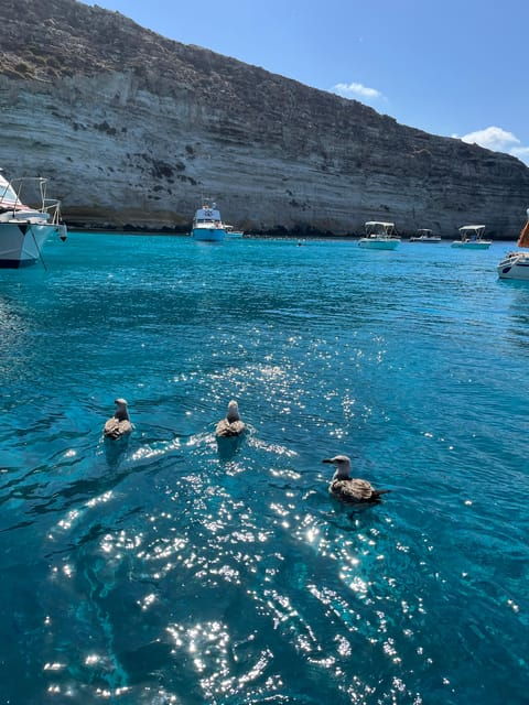 barca-liliana-caligola1