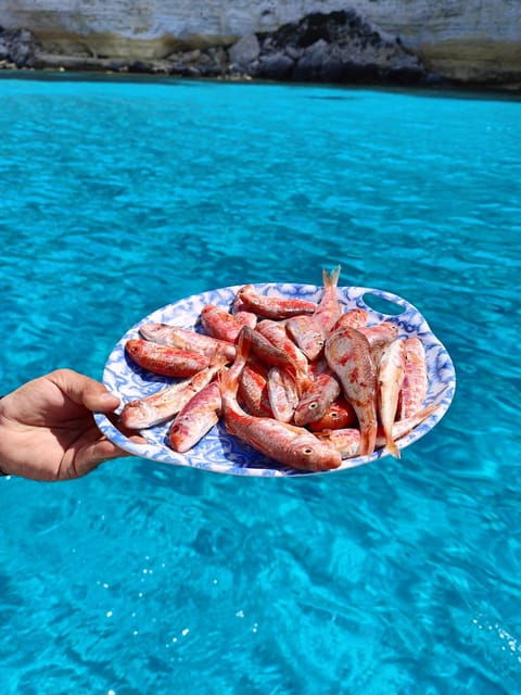 barca-liliana-caligola1