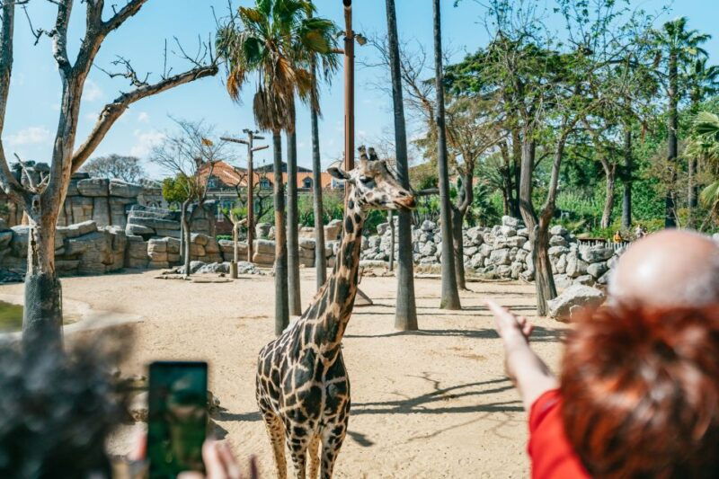 barcelona-1-day-ticket-to-barcelona-zoo
