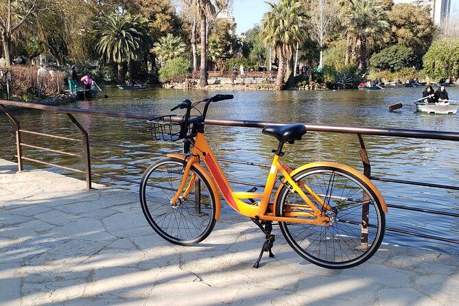 barcelona-15-best-sights-with-local-guide-on-bike-e-bike