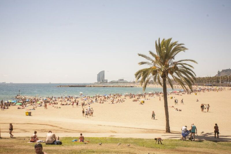 barcelona-2-hour-city-sights-guided-segway-tour