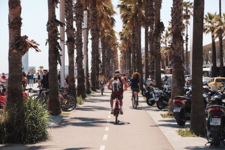barcelona-3-hour-bike-tour-with-a-local-guide