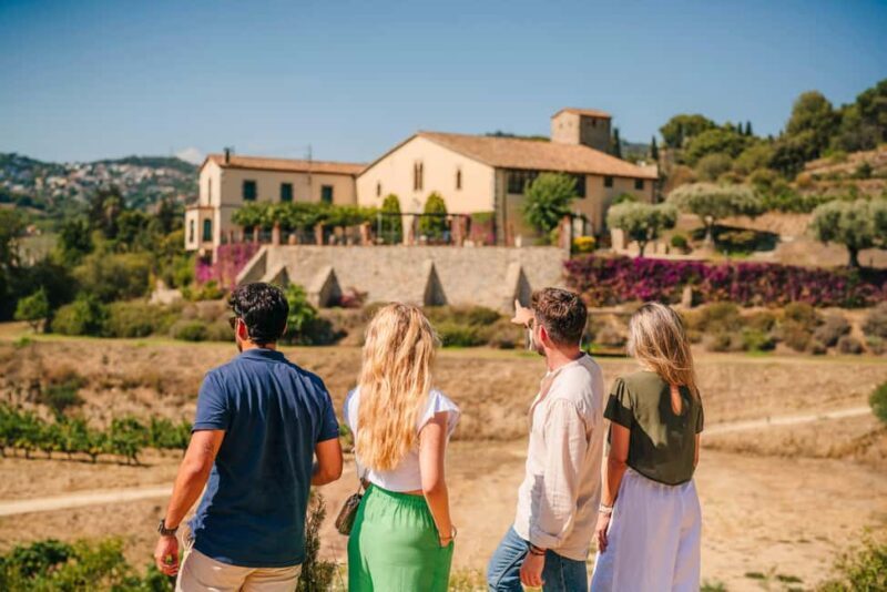 Barcelona: Alella Wine Tour with Tasting & Vineyard Picnic - Exploring the Alella Wine Region: A Guided Experience from Barcelona