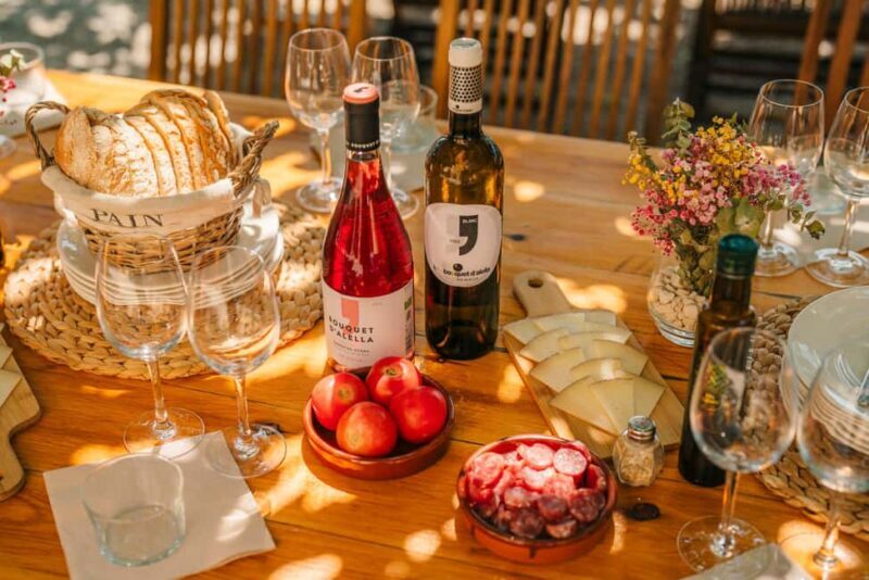 Barcelona: Alella Wine Tour with Tasting & Vineyard Picnic - Key Points