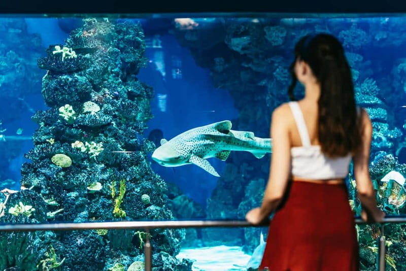 Barcelona Aquarium: Entry Ticket - The Experience from Visitors’ Perspectives