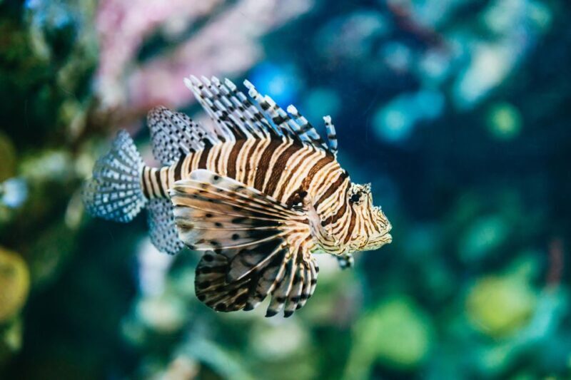 Barcelona Aquarium: Entry Ticket - The Sum Up