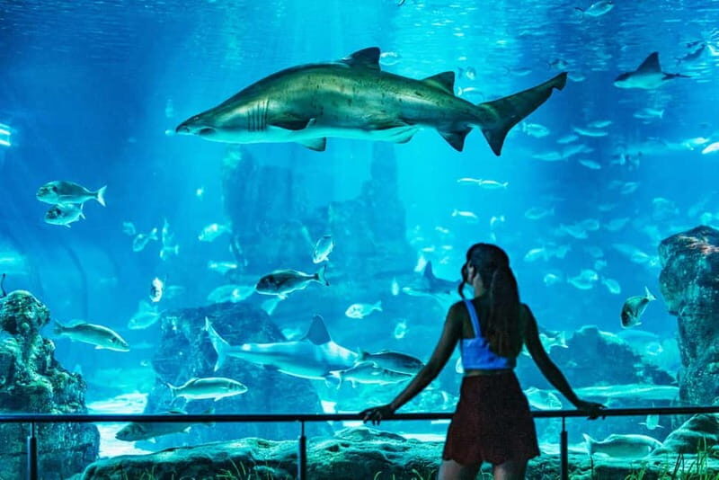 Barcelona Aquarium: Entry Ticket - FAQ