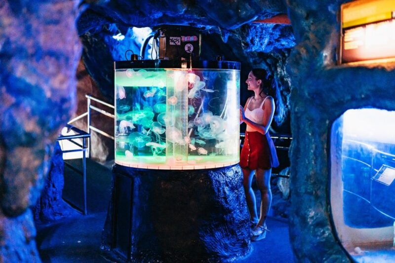 barcelona-aquarium-skip-the-line-admission-ticket