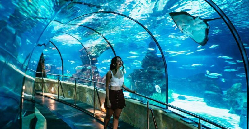 barcelona-aquarium-skip-the-line-admission-ticket