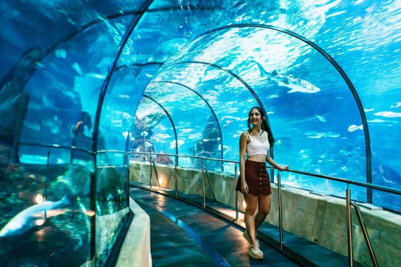 barcelona-aquarium-skip-the-line-admission-ticket