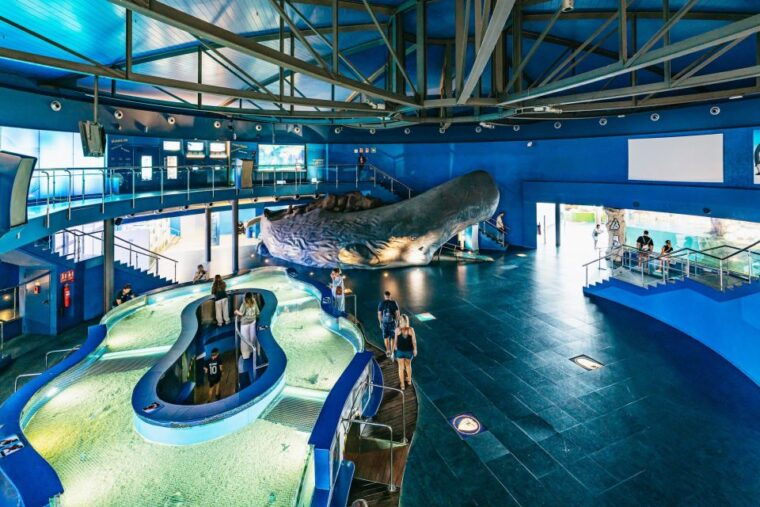 barcelona-aquarium-skip-the-line-admission-ticket