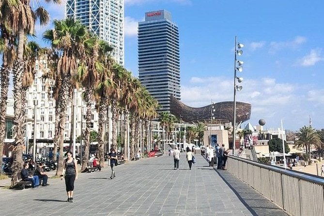 barcelona-bike-tour-sagrada-familia-olympic-port-city-sights