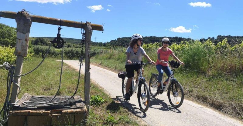 barcelona-bike-wine-guided-tour-penedes-vineyards