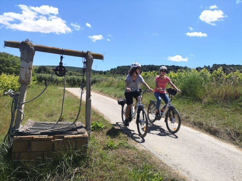 barcelona-bike-wine-guided-tour-penedes-vineyards