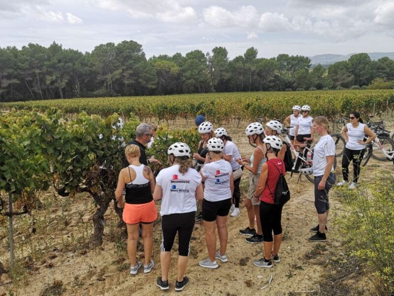 barcelona-bike-wine-guided-tour-penedes-vineyards