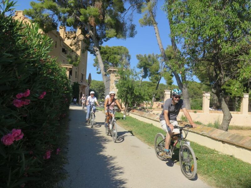 barcelona-bike-wine-guided-tour-penedes-vineyards