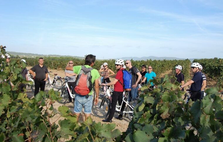 barcelona-bike-wine-guided-tour-penedes-vineyards