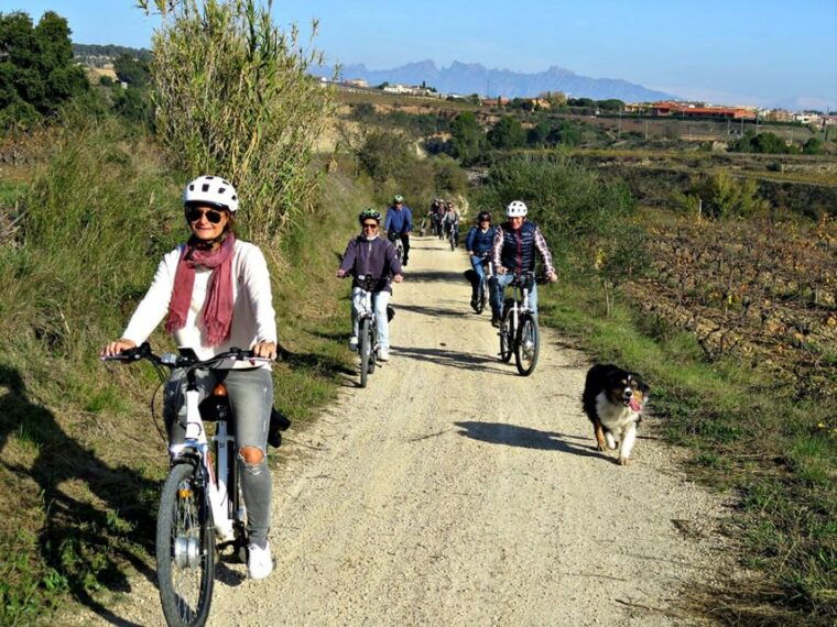 barcelona-bike-wine-guided-tour-penedes-vineyards