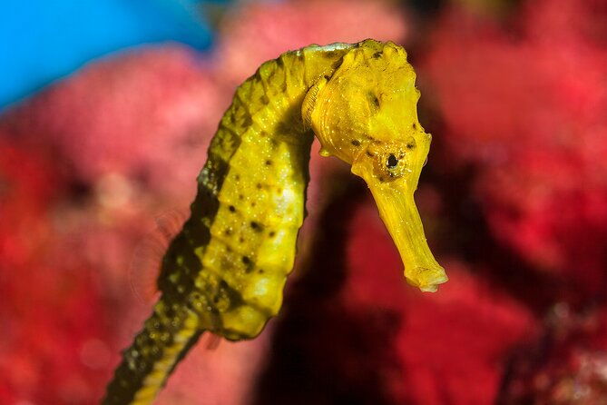 barcelona-card-museums-transport-for-72h-96h-or-120h