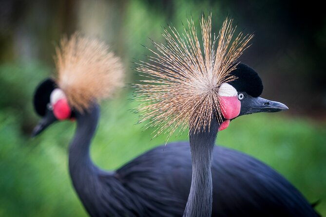 barcelona-card-museums-transport-for-72h-96h-or-120h