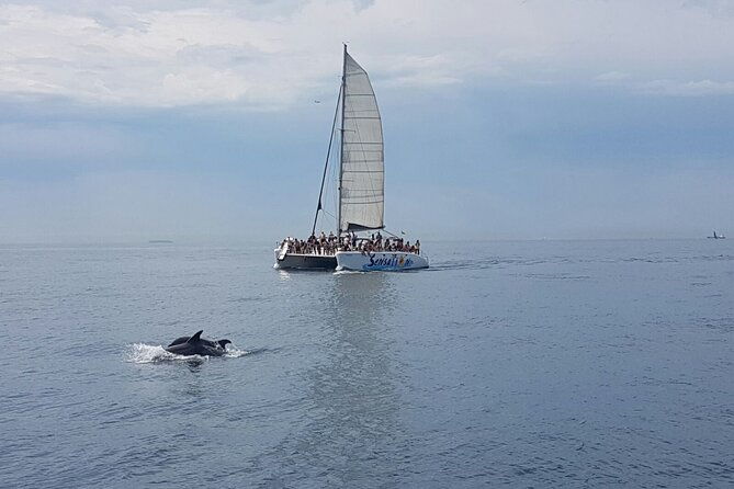 barcelona-catamaran-party-tour-for-young-people