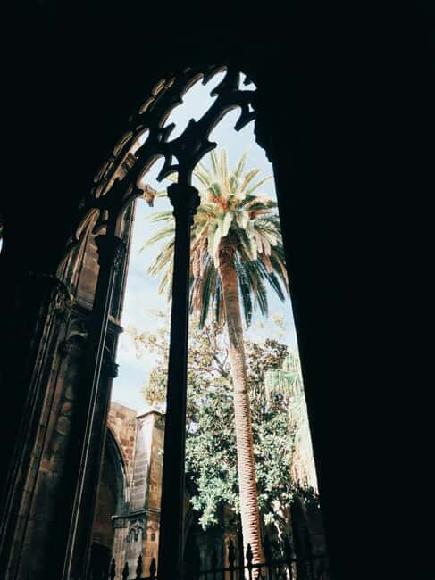 Barcelona: Cathedral of Barcelona Saint Eulalia Guided Tour - Who Would Love This Tour?