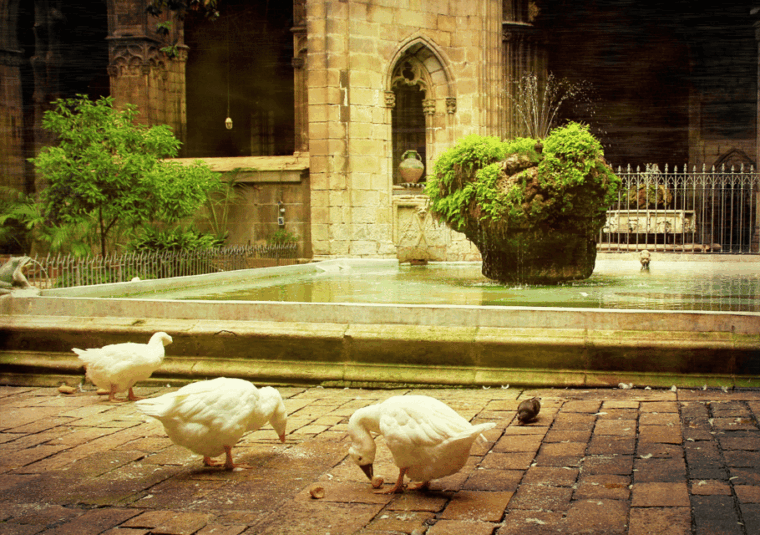 barcelona-cathedral-ticket-guided-tour-and-vr-experience