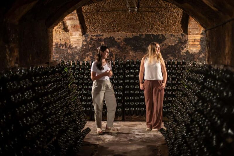 Barcelona: Cavas Hill - Winery Tour & Cheese Tasting - Discovering Cavas Hill: A Closer Look  