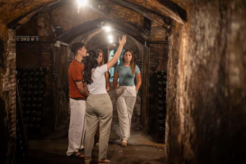 Barcelona: Cavas Hill - Winery Tour & Cheese Tasting - Who Will Love This Tour?  
