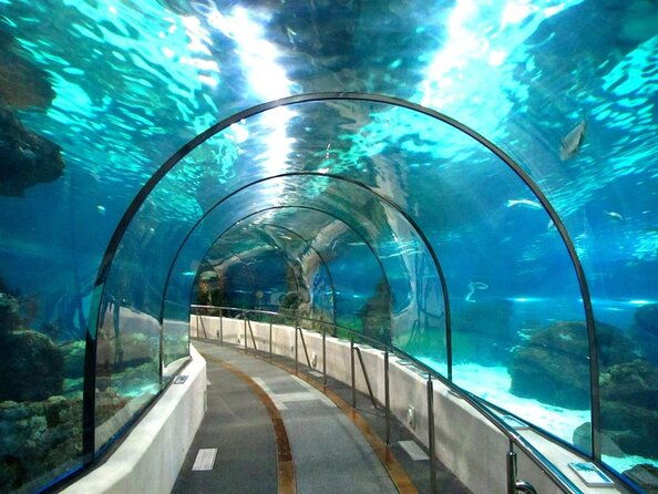 barcelona-city-tour-hop-on-hop-off-and-aquarium