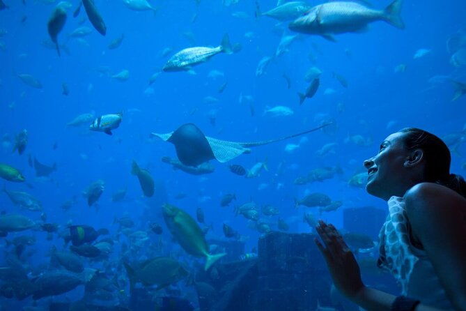barcelona-city-tour-hop-on-hop-off-and-aquarium