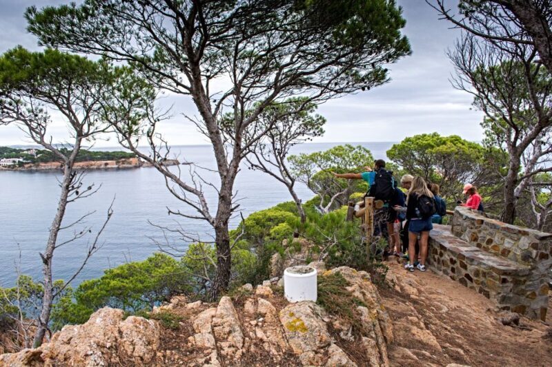 Barcelona: Costa Brava Tour with Kayak & Lagoon Snorkeling - Key Points