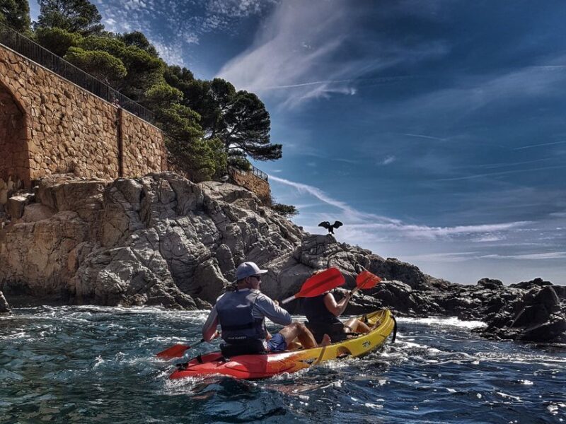Barcelona: Costa Brava Tour with Kayak & Lagoon Snorkeling - Who Will Love This Tour?