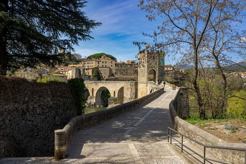 Barcelona: Discover Girona, Besalú & Pals on a Guided Tour - Who Should Consider This Tour?