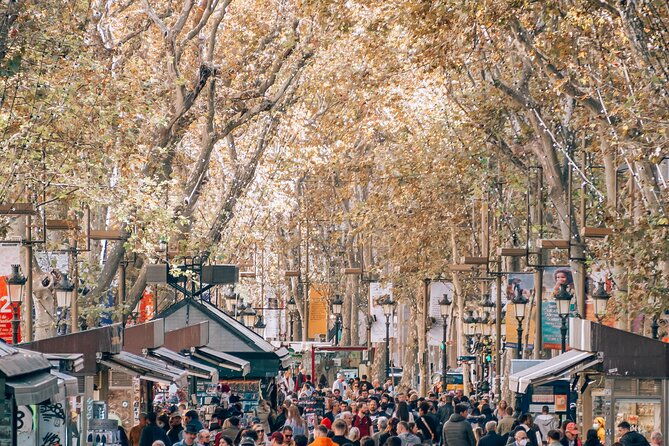 barcelona-discoveries-private-tour