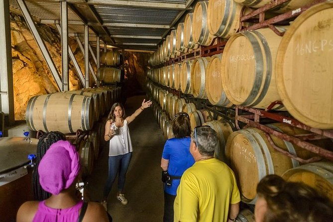 barcelona-ebike-beach-private-tour-to-vineyards-picnic