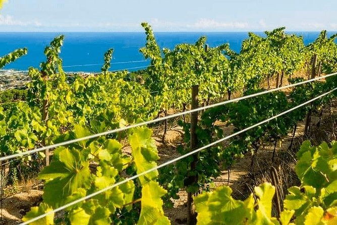 barcelona-ebike-beach-private-tour-to-vineyards-picnic