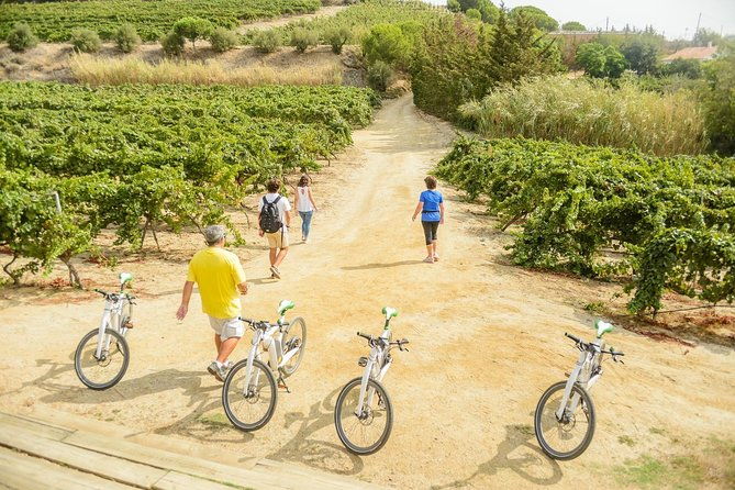 barcelona-ebike-beach-private-tour-to-vineyards-picnic