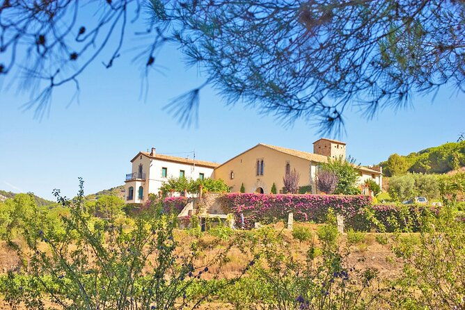 barcelona-ebike-beach-private-tour-to-vineyards-picnic