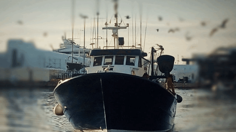 barcelona-fishermens-guild-guided-tour