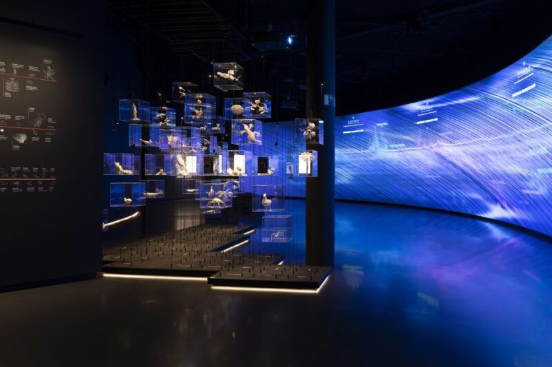 barcelona-glories-tower-viewpoint-skip-the-line-ticket