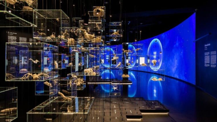 barcelona-glories-tower-viewpoint-skip-the-line-ticket