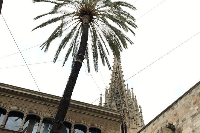 barcelona-gothic-quarter-from-roman-walls-to-hidden-courtyards
