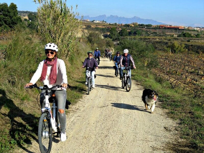 barcelona-guided-half-day-wine-and-electric-bike-tour