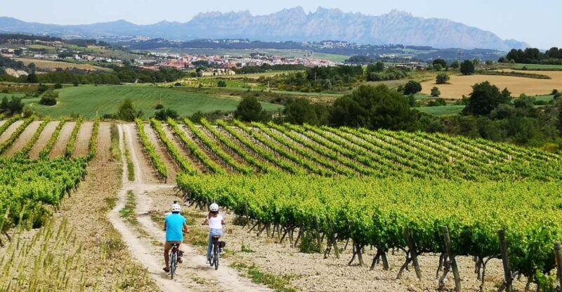 barcelona-guided-half-day-wine-and-electric-bike-tour